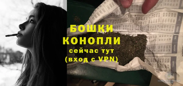 гидра Арсеньев
