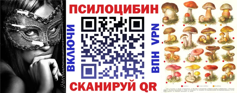 MEGA ссылки  Тюкалинск  Псилоцибиновые грибы Psilocybine cubensis 